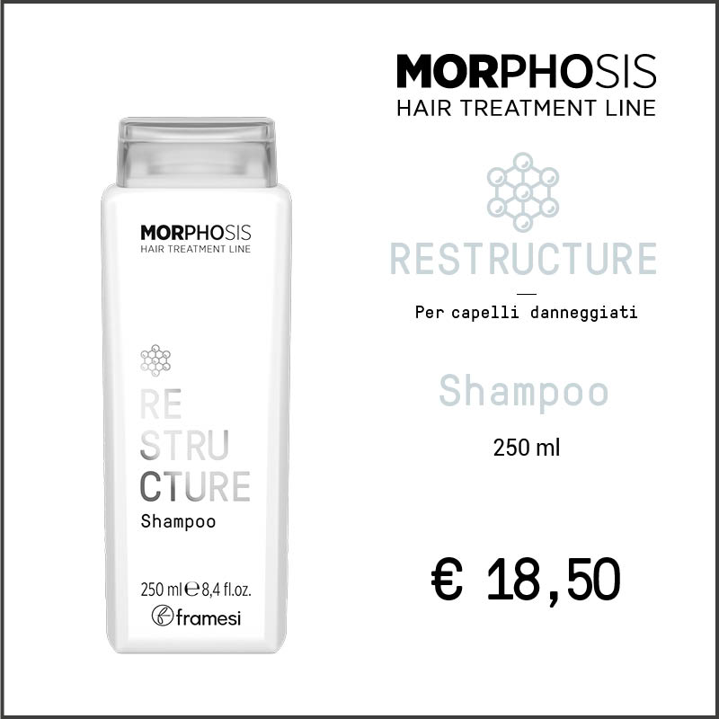 MorphosisNew_Marzo21