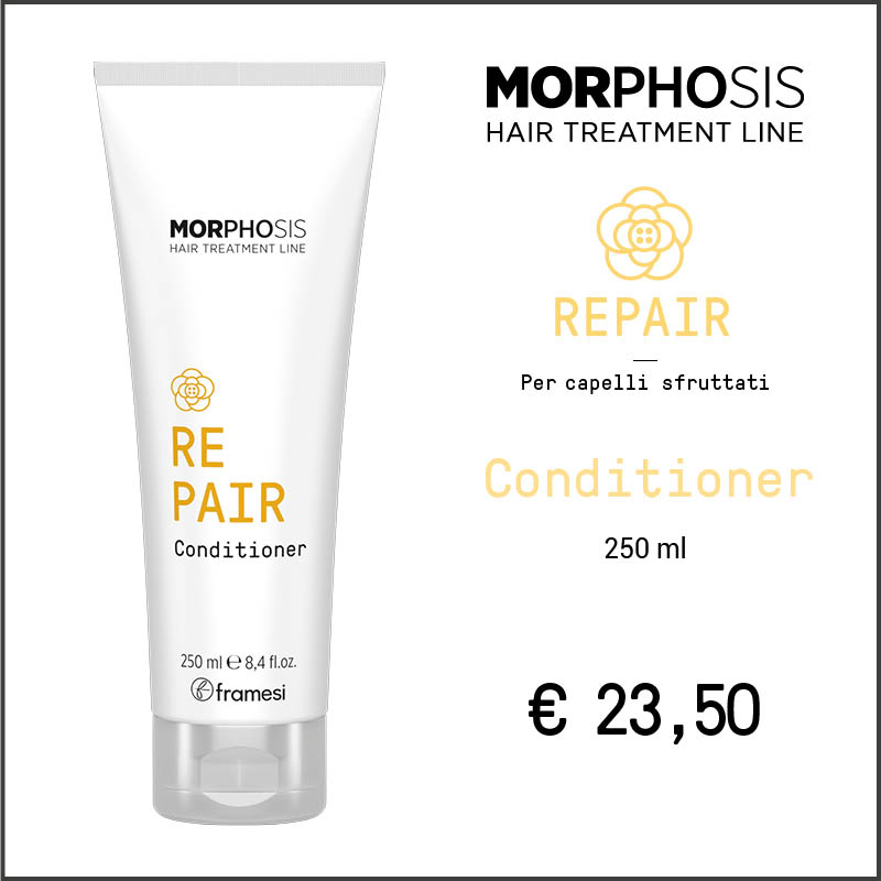 MorphosisNew_Marzo5