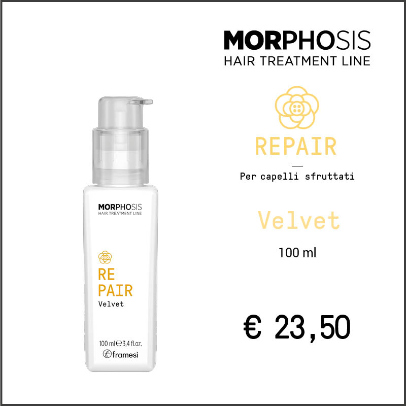 MorphosisNew_Marzo6