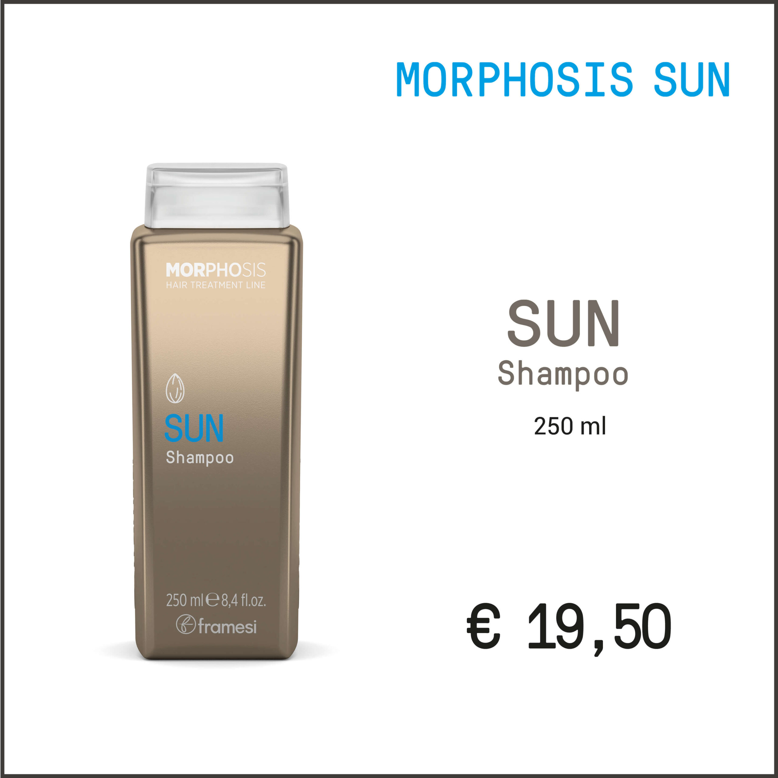 MorphosisNew_Marzo_Solari
